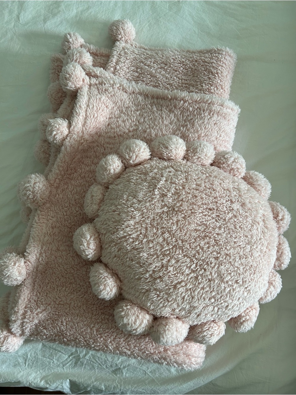 Pottery barn teen throw and pillow set